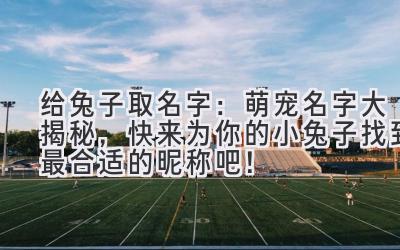   给兔子取名字：萌宠名字大揭秘，快来为你的小兔子找到最合适的昵称吧！ 